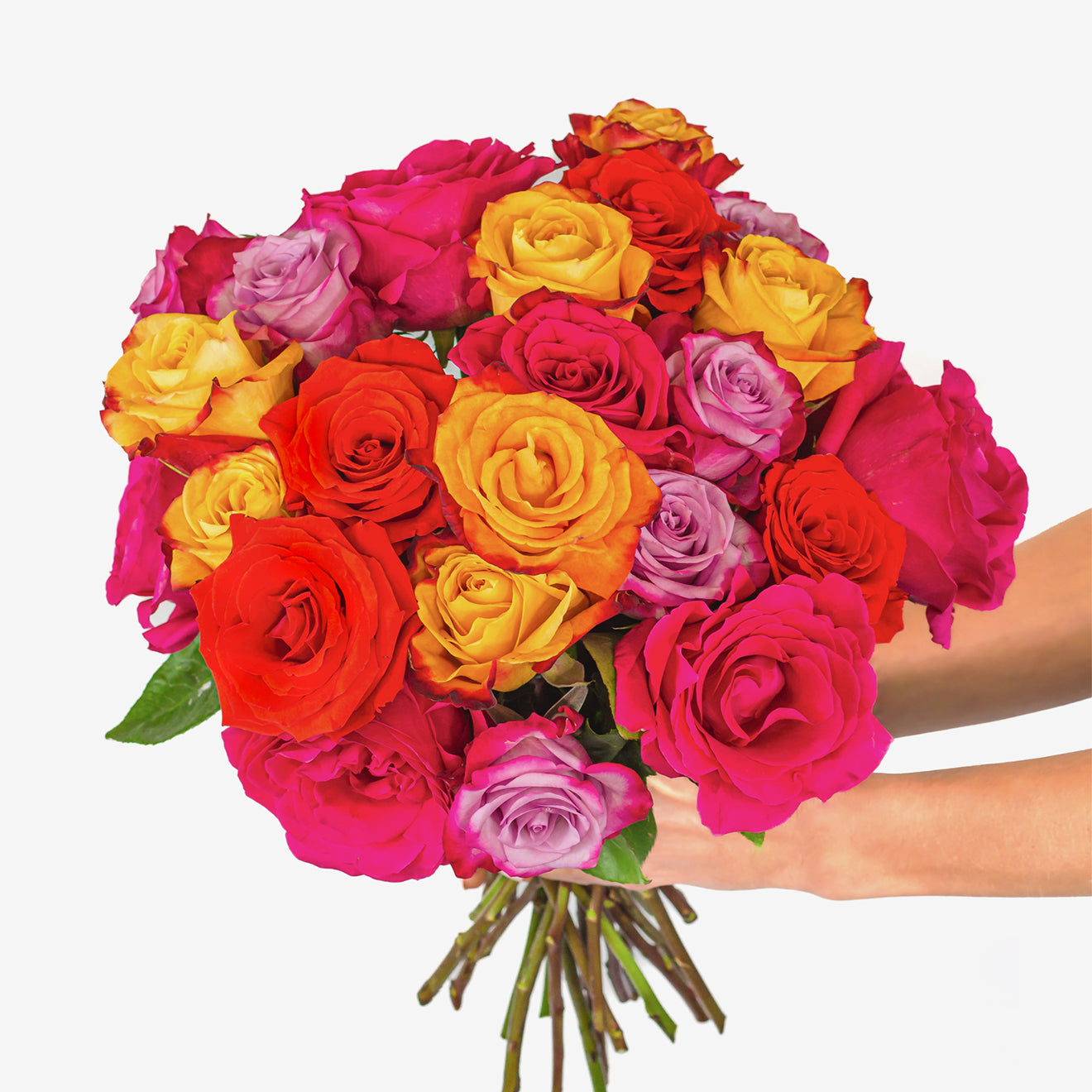 Kaleidoscope Roses - flash sale by BloomsyBox