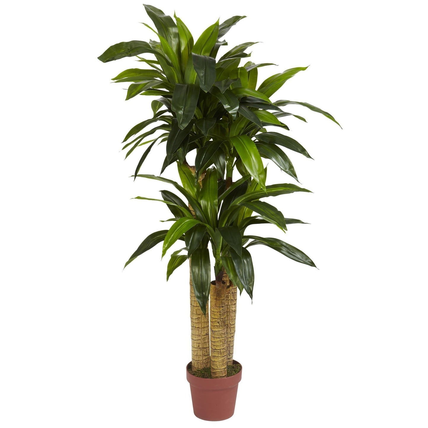 4' Corn Stalk Dracaena Silk Plant (Real Touch) by Nearly Natural