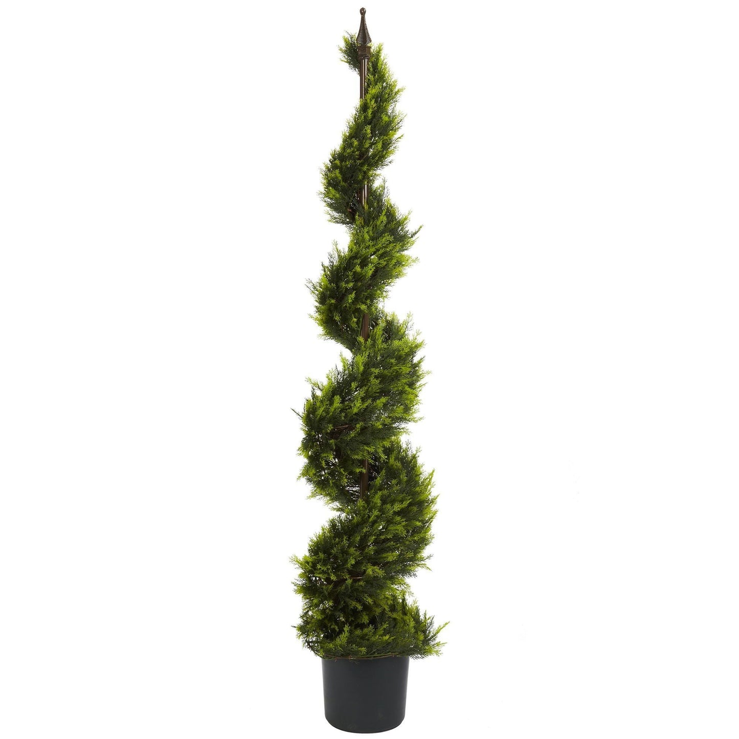 5' Cypress Spiral Tree by Nearly Natural