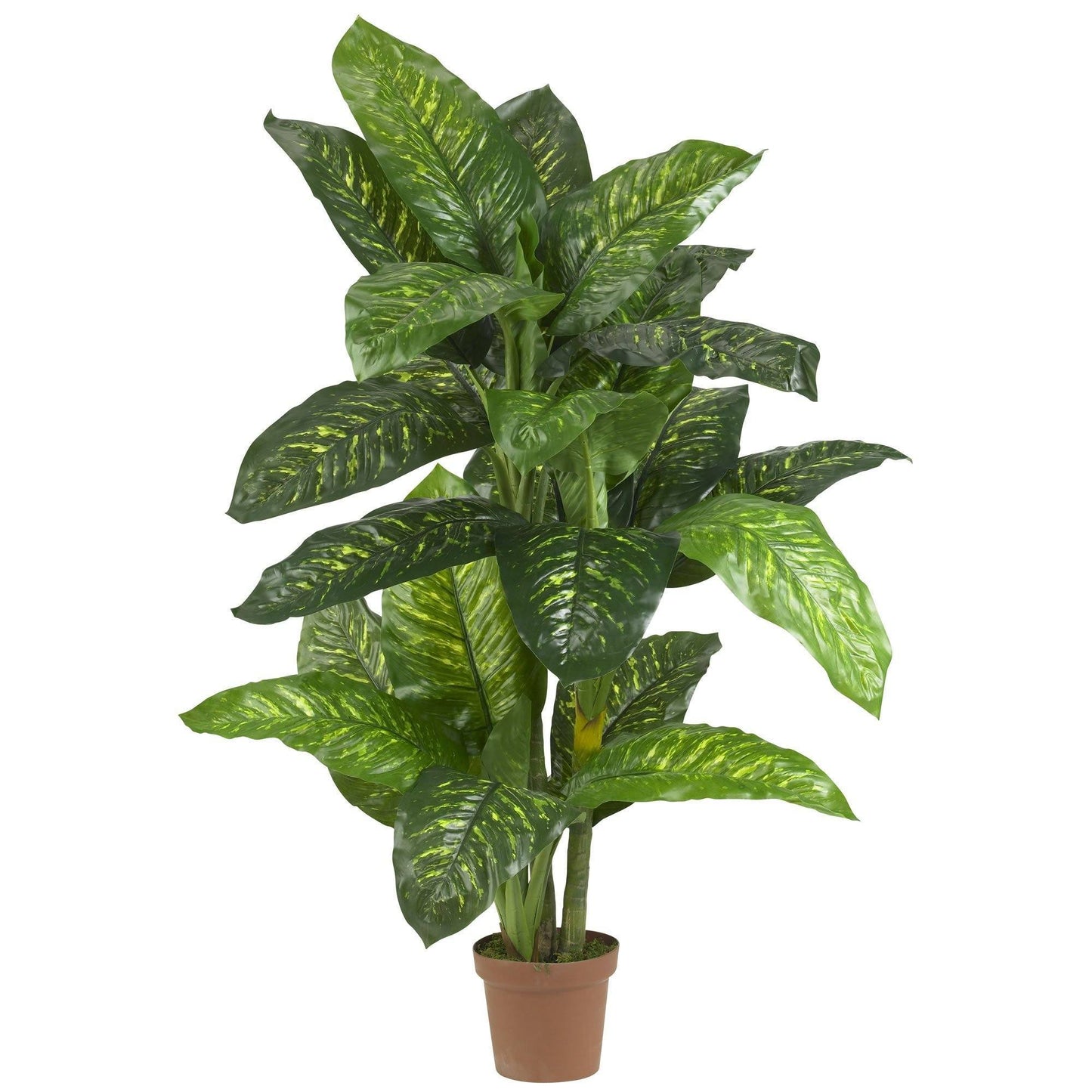 5' Dieffenbachia Silk Plant (Real Touch) by Nearly Natural