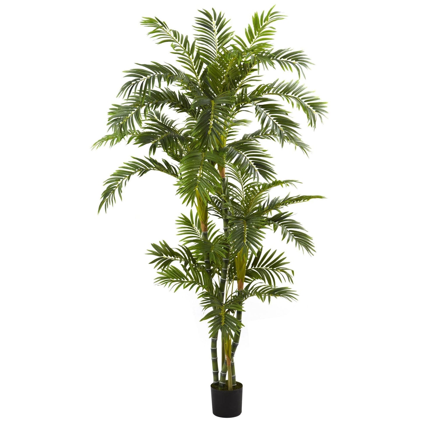 6’ Curvy Parlor Palm Silk Tree by Nearly Natural