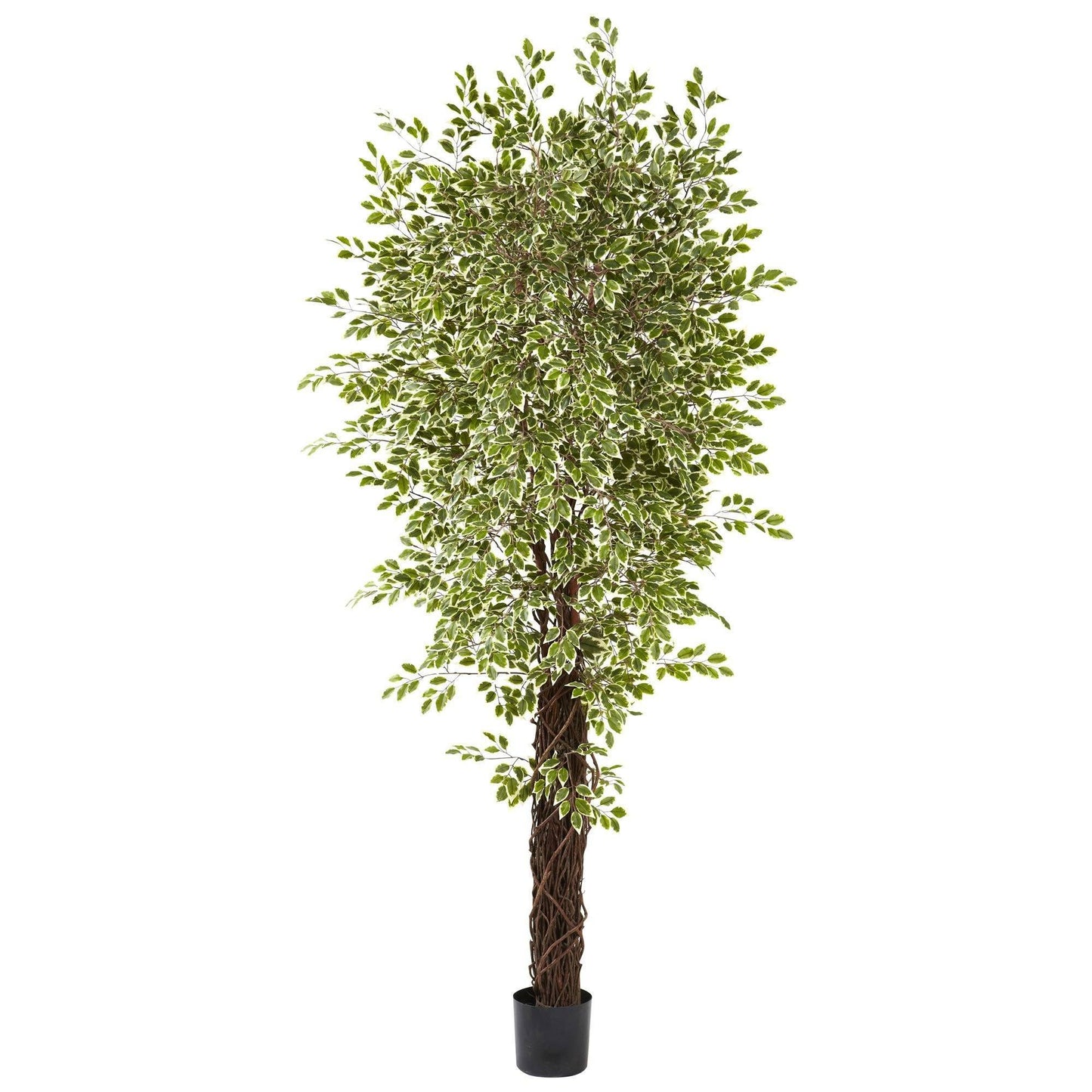 7.5’ Variegated Mini Ficus Silk Tree by Nearly Natural