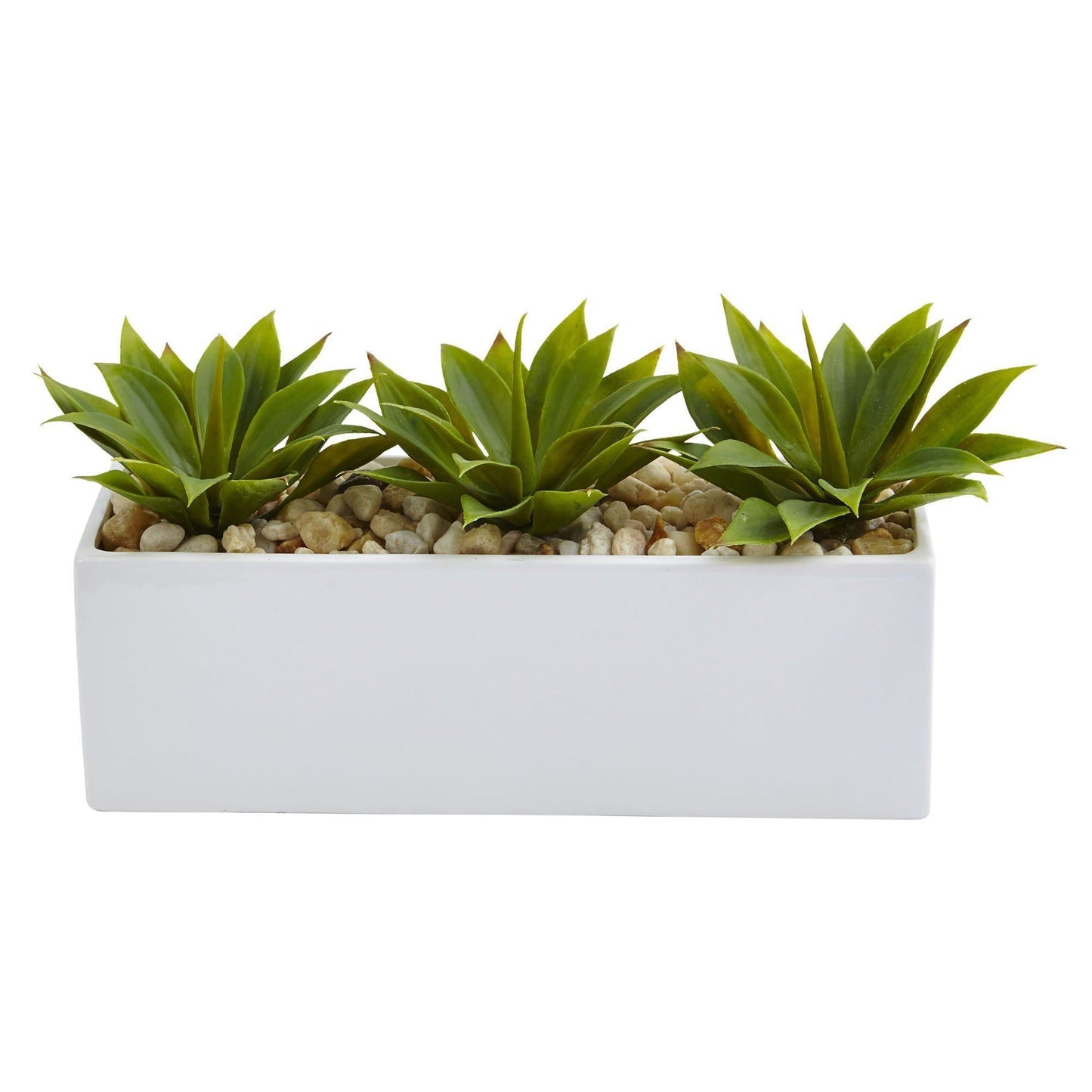 Agave Succulent in Rectangular Planter by Nearly Natural