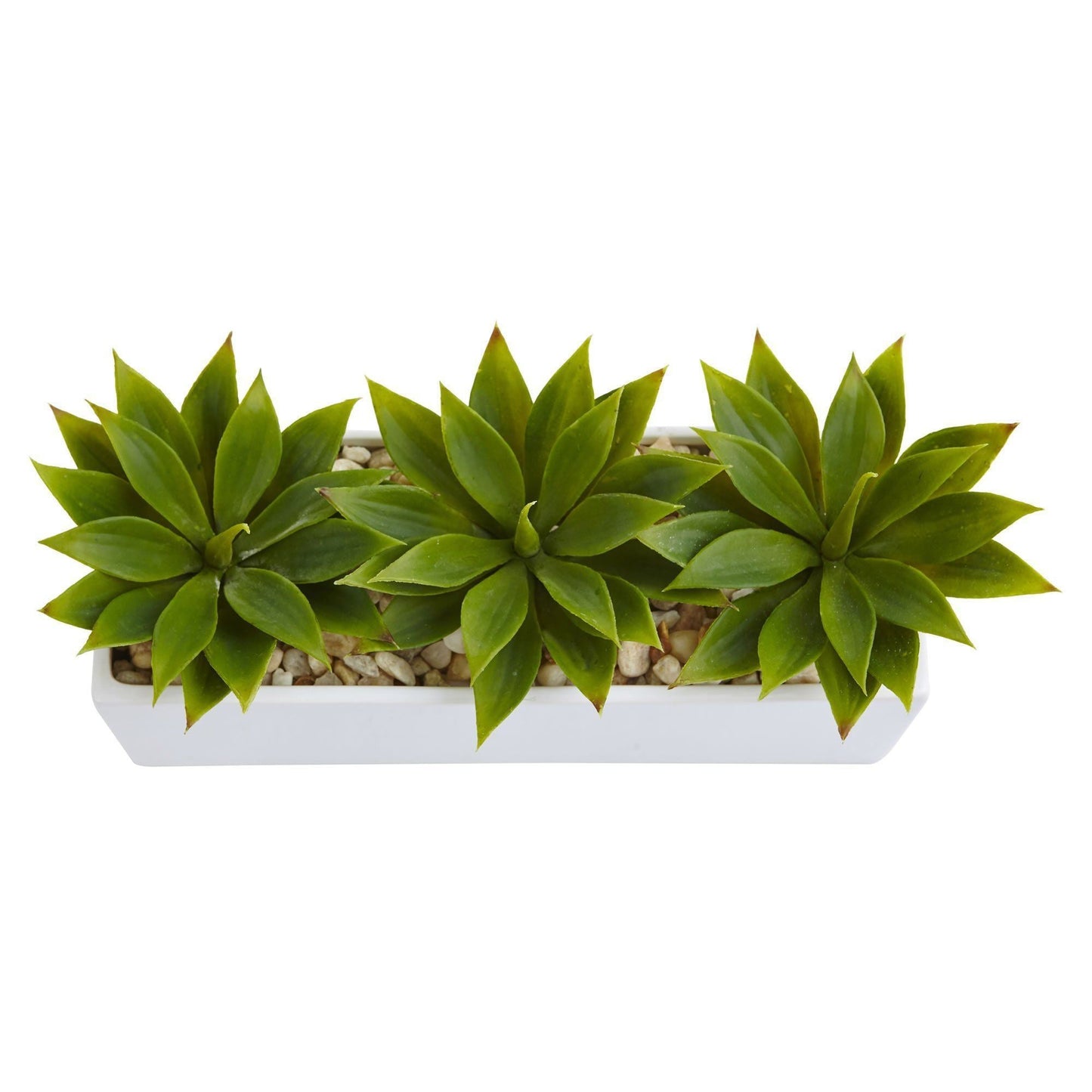Agave Succulent in Rectangular Planter by Nearly Natural
