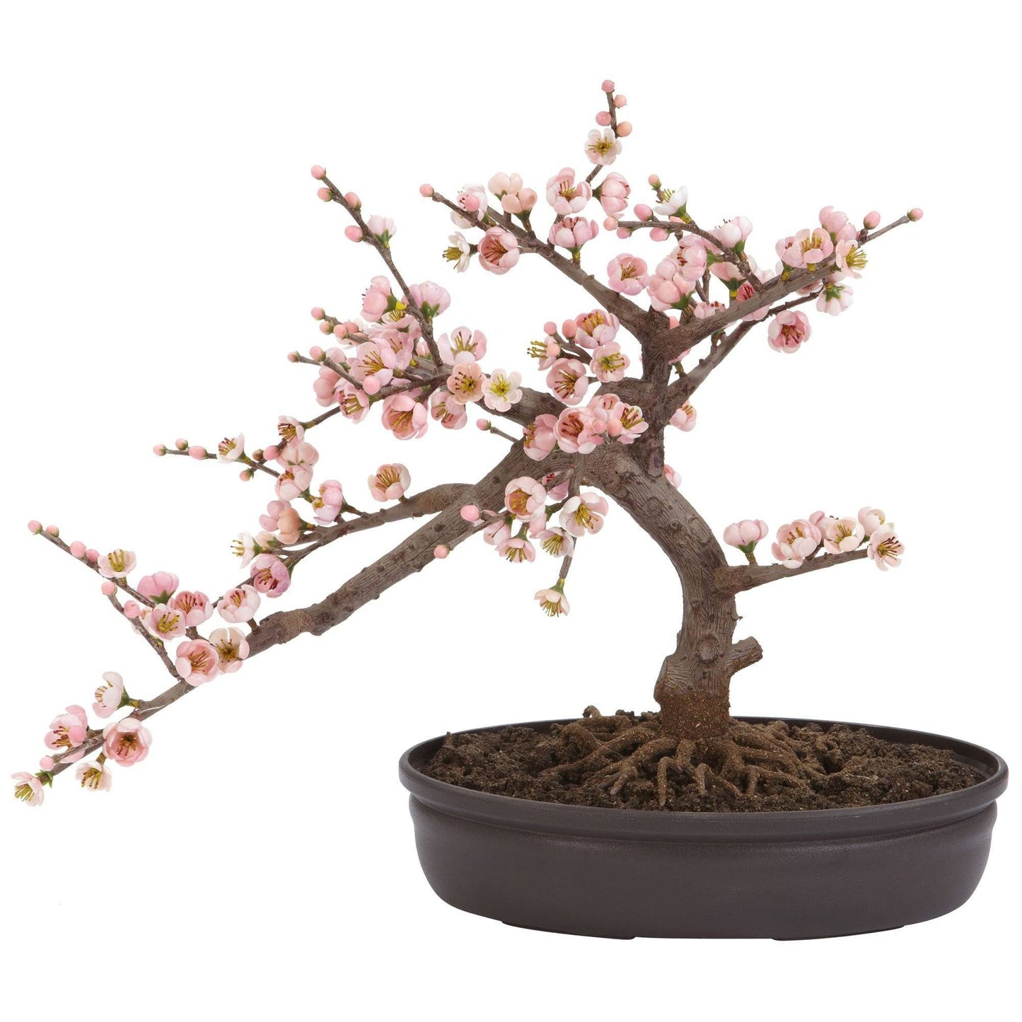 Cherry Blossom Bonsai Silk Tree by Nearly Natural