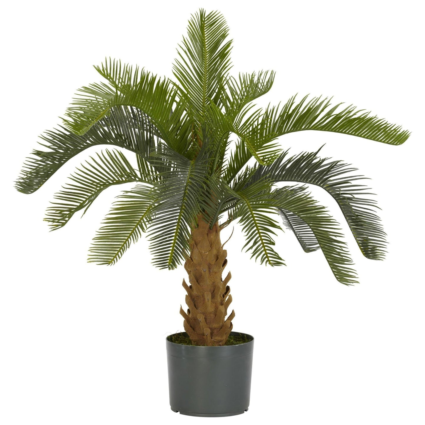 Cycas Silk Plant by Nearly Natural