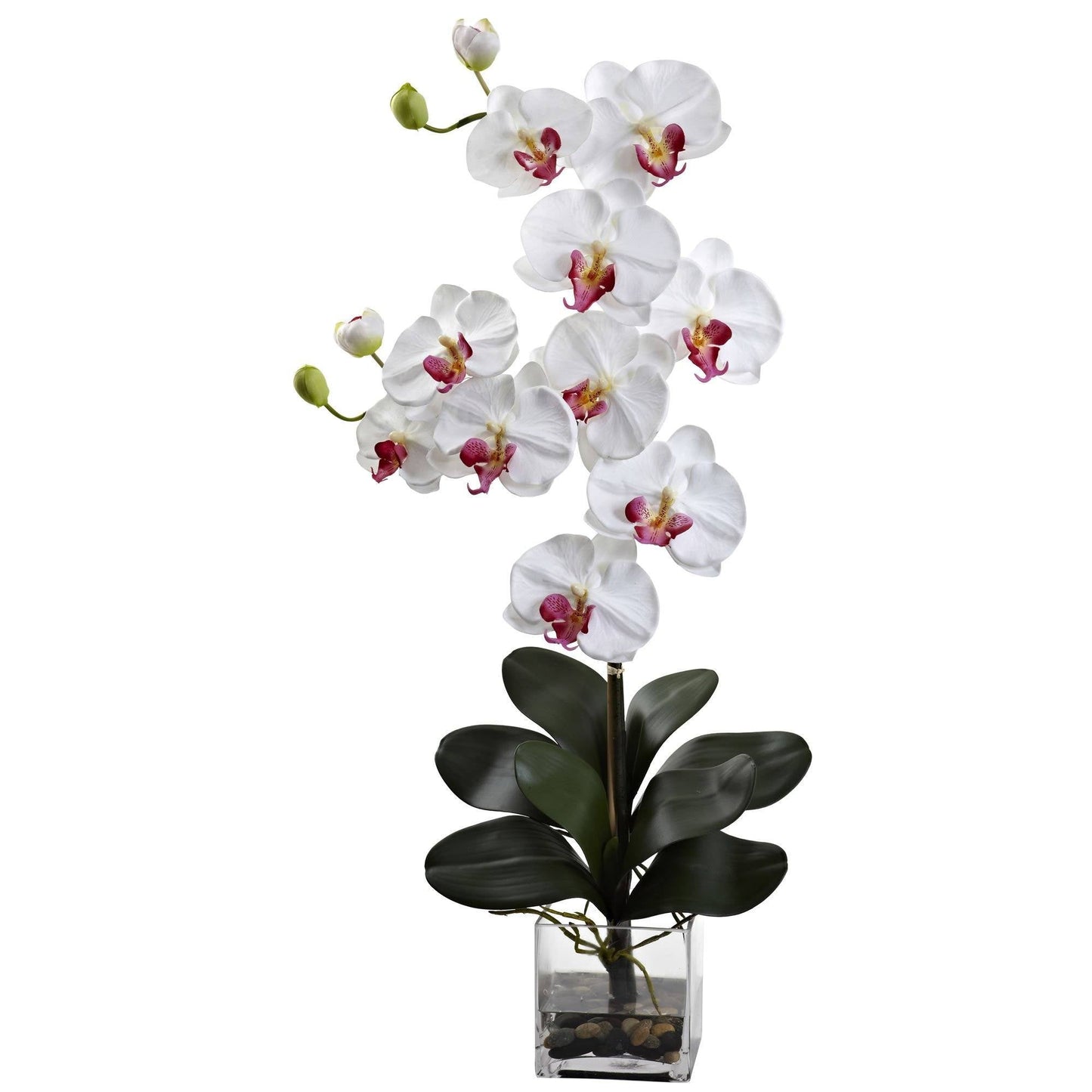 Double Giant Phalaenopsis w/Vase by Nearly Natural