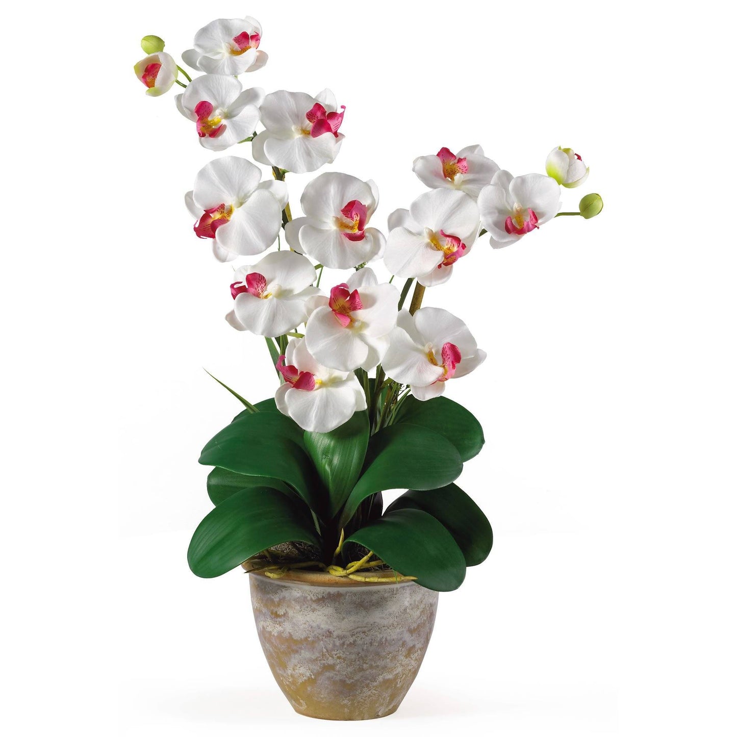 Double Stem Phalaenopsis Silk Orchid Arrangement by Nearly Natural