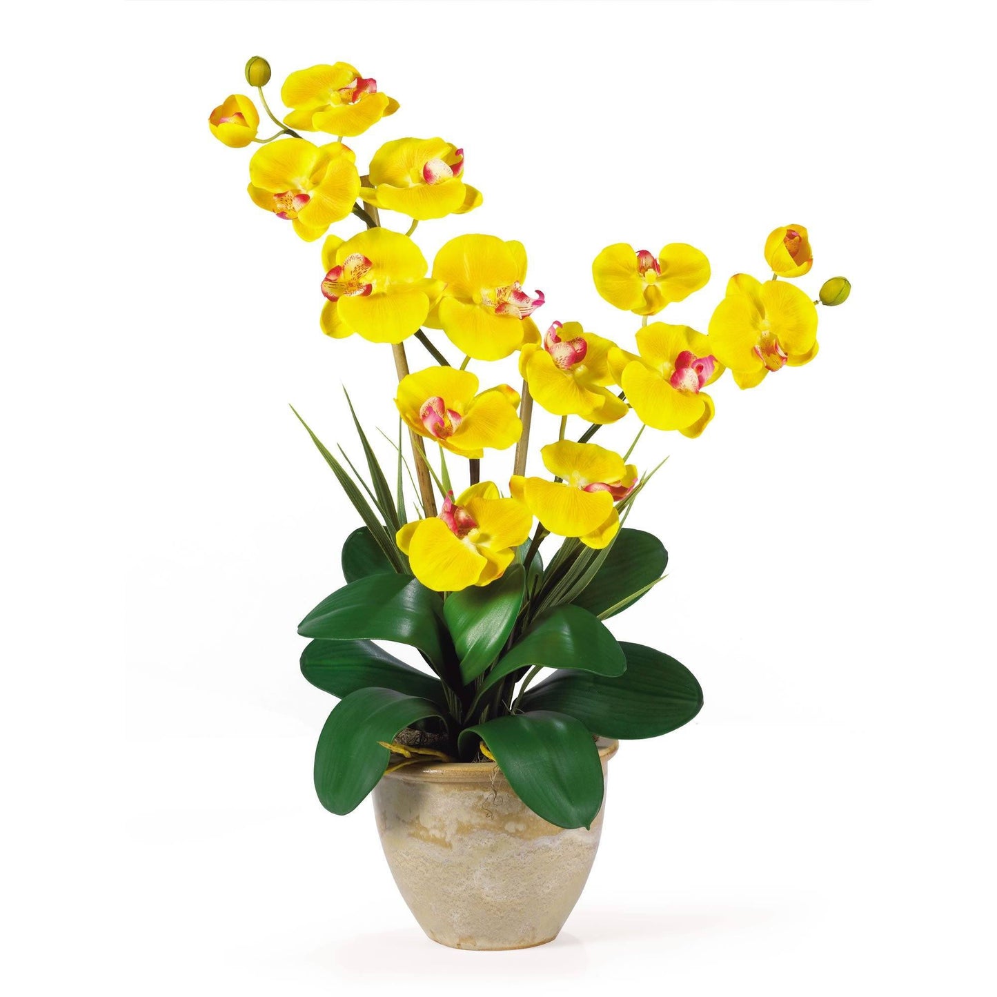 Double Stem Phalaenopsis Silk Orchid Arrangement by Nearly Natural