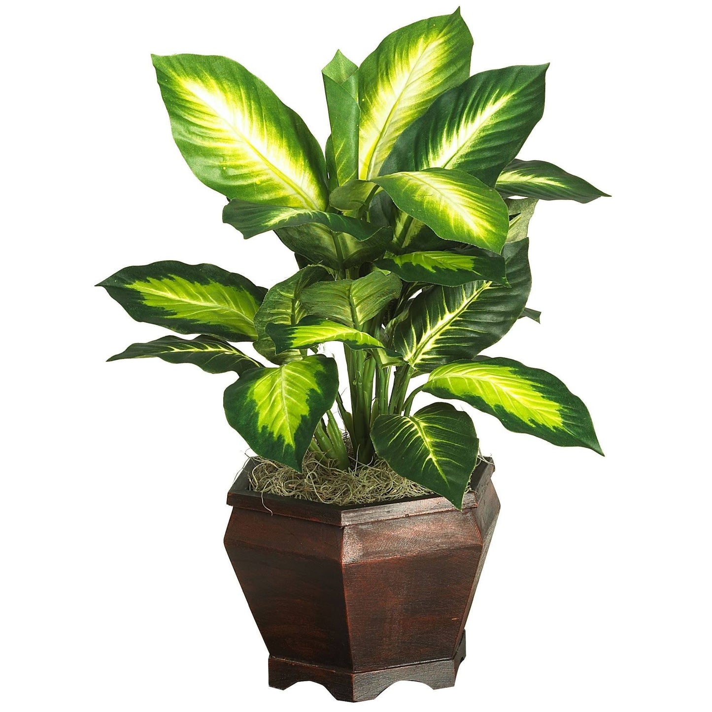 Golden Dieffenbachia w/Wood Vase Silk Plant by Nearly Natural