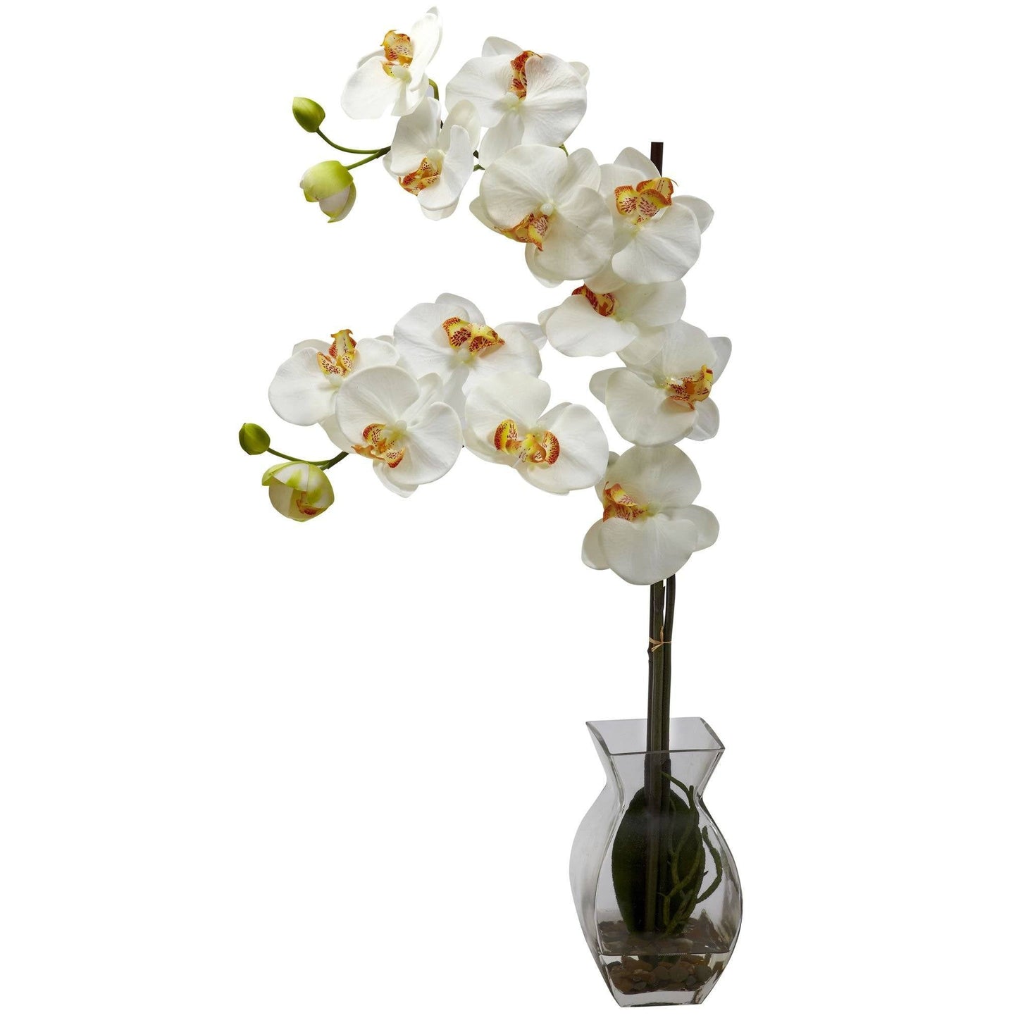 Phalaenopsis Orchid w/Vase Arrangement by Nearly Natural