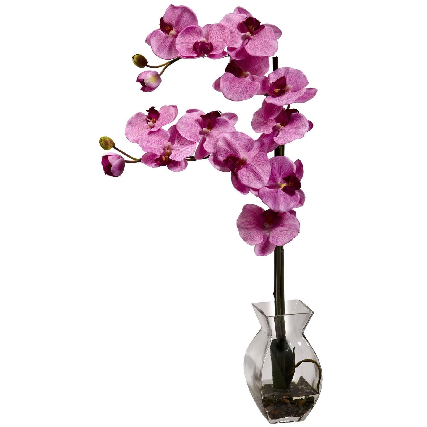 Phalaenopsis Orchid w/Vase Arrangement by Nearly Natural