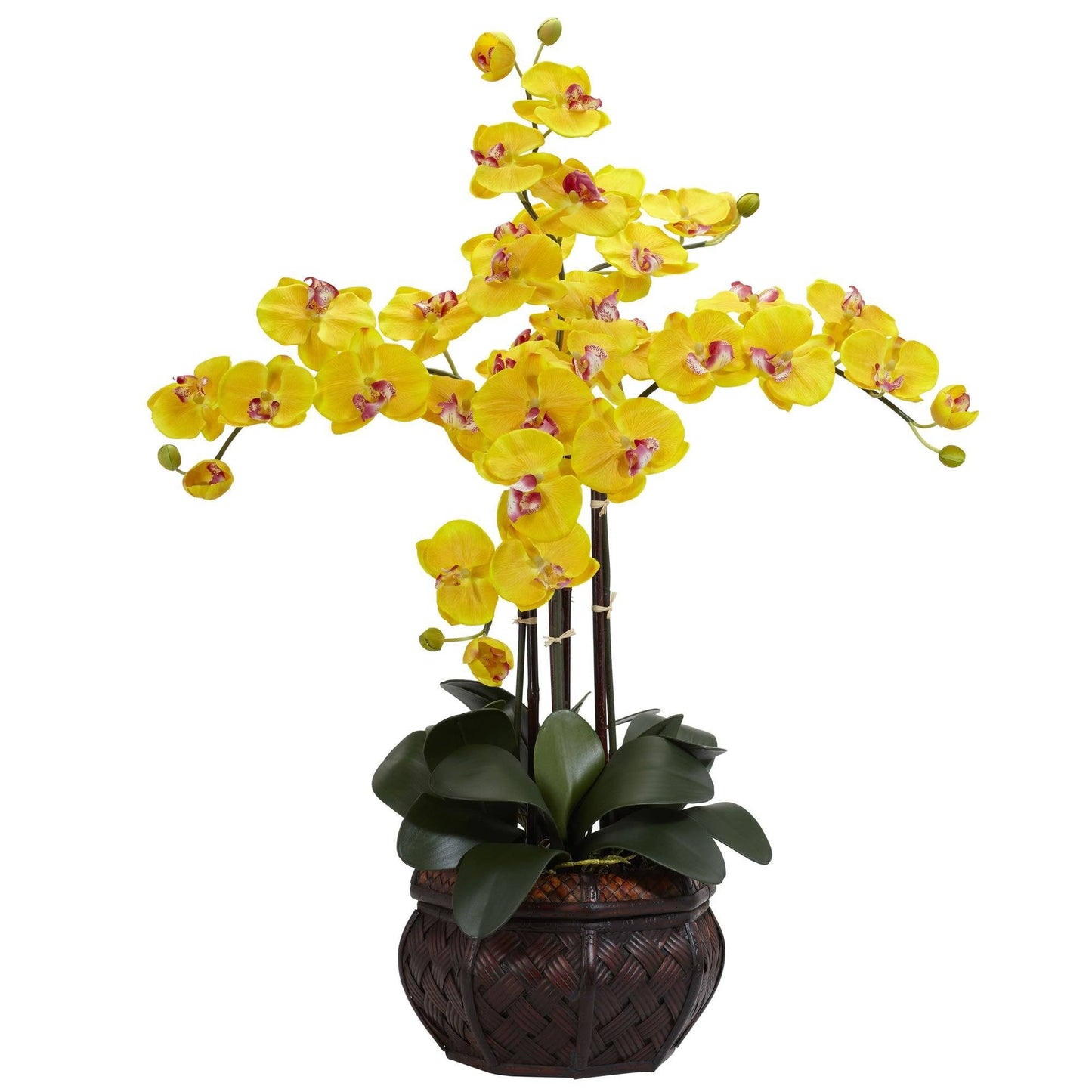 Phalaenopsis w/Decorative Vase Silk Flower Arrangement by Nearly Natural