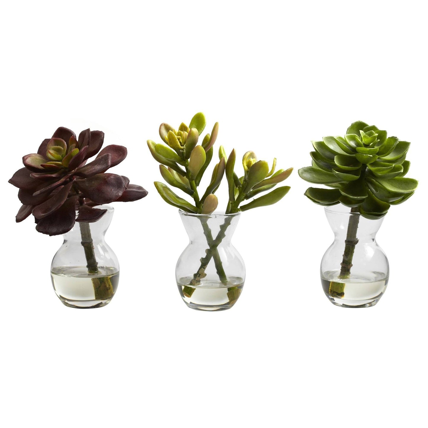Succulent Arrangements (Set of 3) by Nearly Natural