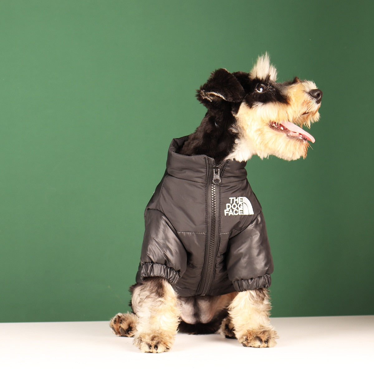 The Dog Face Winter Jacket - Dog & Cat Apparel by GROOMY