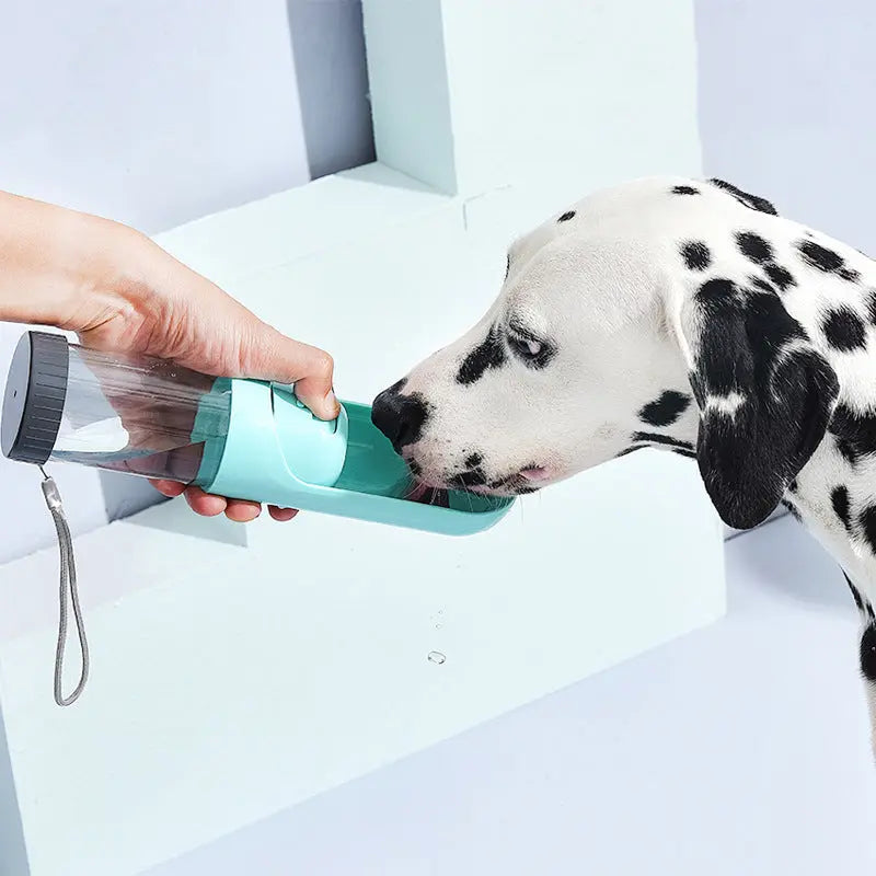 Portable Dog Water Bottle w/ Carbon Filter by GROOMY