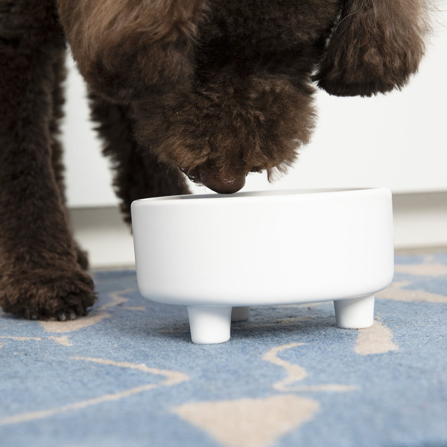 Uplift Bowl Ceramic Dog Bowl by Waggo
